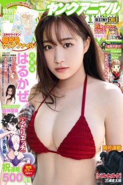 人生若如初相见
