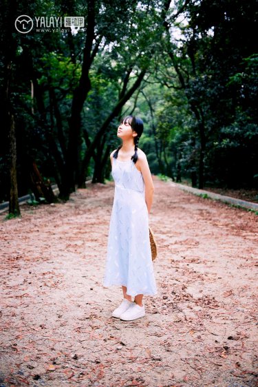 长在面包树上的女人 电视剧