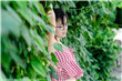 潘金莲 电影