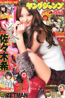 金银瓶4葡萄熟了