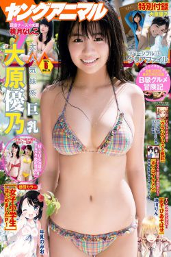 英伟达股价