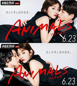 动物 ANIMALS